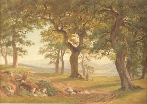Schafer Unter Laubbaumen - view 1