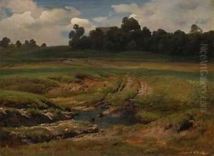 Sommerlicher Wiesengrund by Robert Eberle