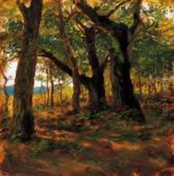 Sunlit Grove - view 1