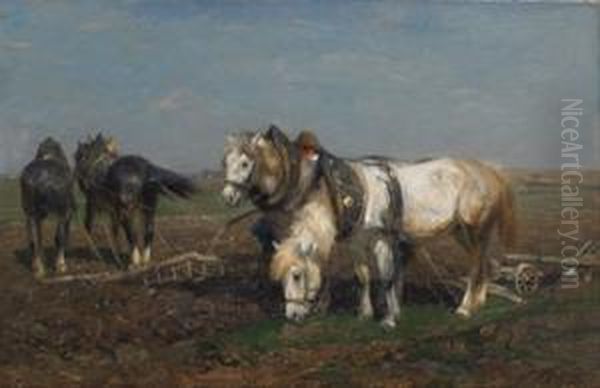 Ploughing - view 1