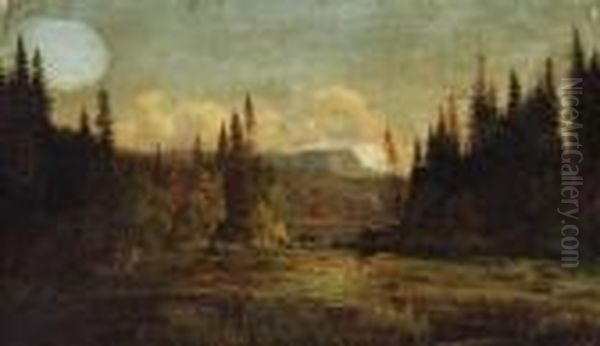 Summer Landscape - view 1
