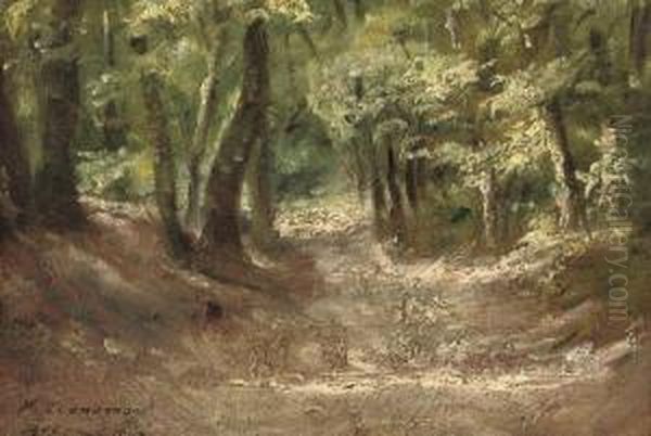 Wooden Glade - view 1