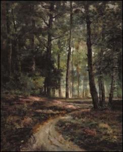 Shooting Path In The Park by Aaron Allan Edson