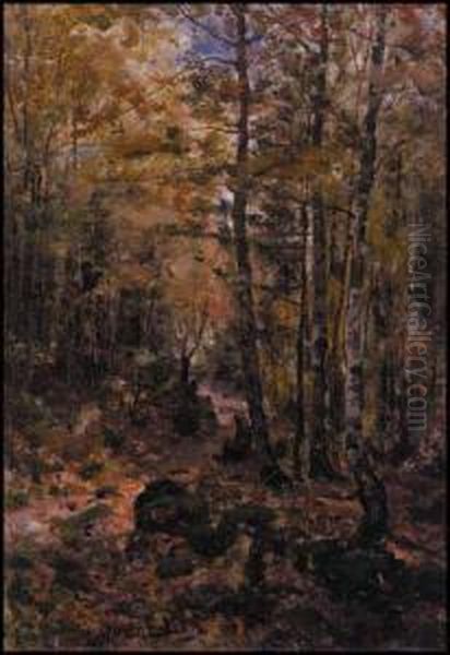 Sunlit Forest Path - view 1