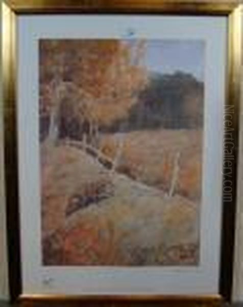 The Fox In The Brambles - view 1