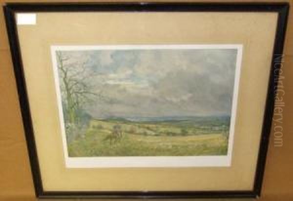 Kilkenny - view 1