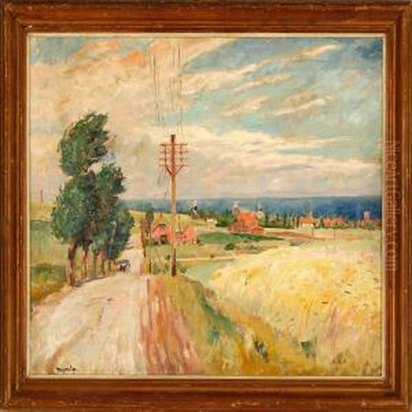 Overlooking A Summer Landscape On Bornholm Island - view 1