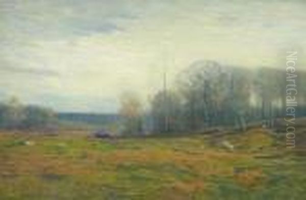 Landscape - view 1