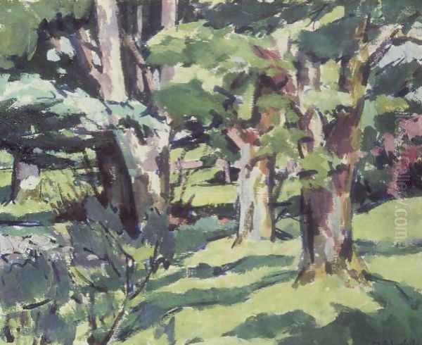 Trees at Auchinleck, Ayrshire - view 1