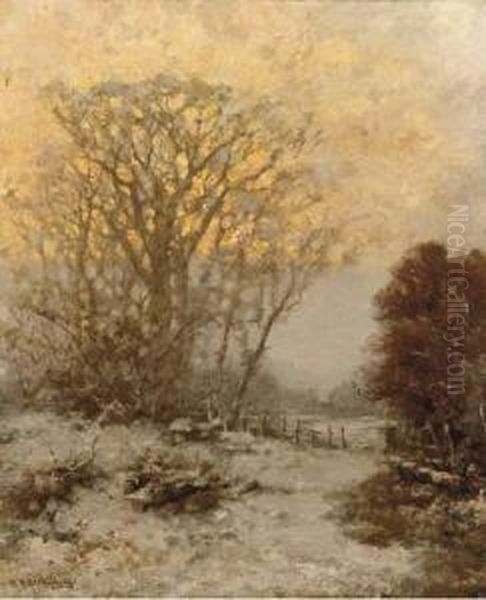 Sunset Over A Snowcovered Landscape - view 1