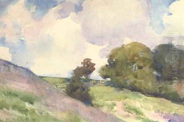 Hilly landscape - view 1