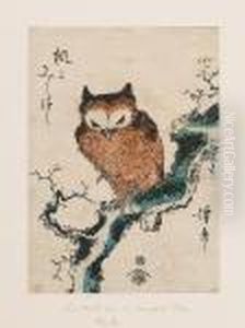 [-], A Chuban Of An Owl