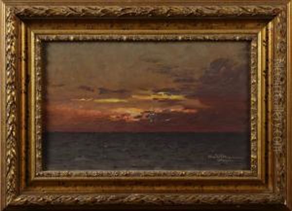 Sjomotiv Fran Skagen - view 1