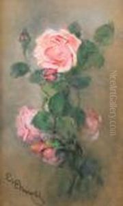 Rosa Rosor by Emma Ekwall