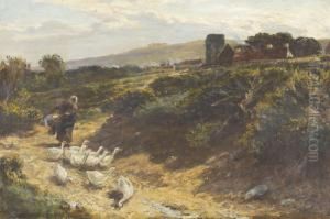 Landschaft Mit Gansen Und Wascherin
