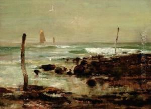 Seagulls On The Coast