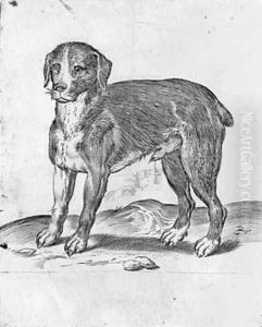 Dog by Agostino Carracci