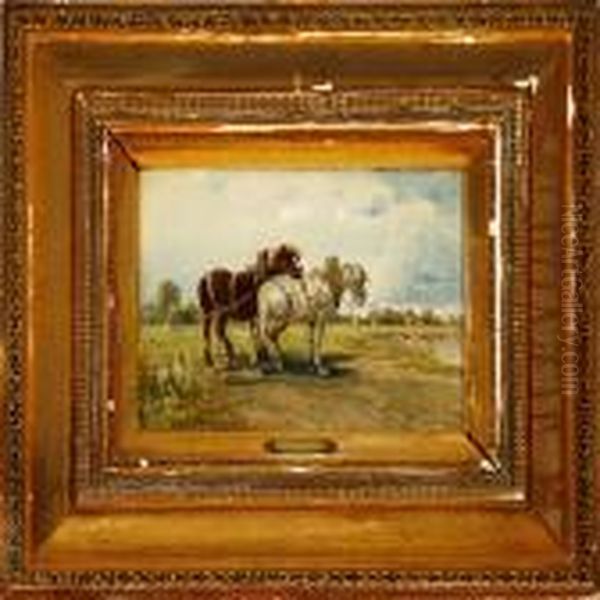 Two Horses On A Field - view 1