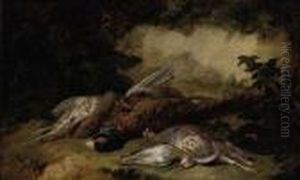 A Dead Pheasant, Grouse And A Snipe In A Wooded Clearing by Stephen Elmer