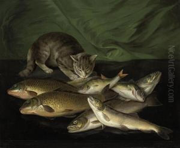 A Cat And Dead Fish On A Stone Ledge - view 1
