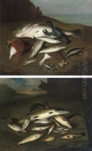 Trout, Salmon, Pike, Perch And
Other Fish On A Bank; And Cod,mackerel, Herring, Sardines, A Lobster, A
Crab And Other Fish On Abank by Stephen Elmer
