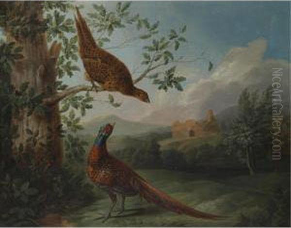 A Pair Of Pheasants In An Extensive Landscape - view 1