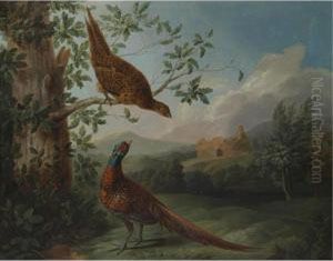 A Pair Of Pheasants In An Extensive Landscape