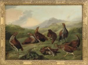 A Covey Of Partridges In A Landscape