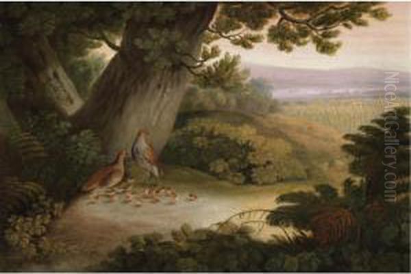 Partridges And Their Chicks In A Landscape - view 1