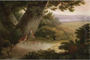 Partridges And Their Chicks In A Landscape