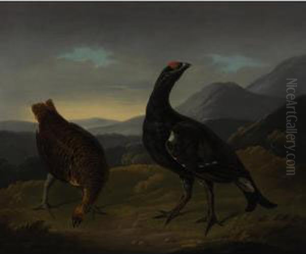 Black Cock And Grey Hen - view 1