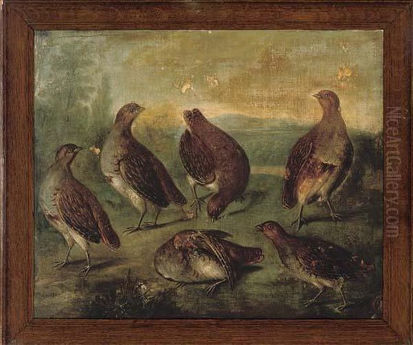 Grey Partridge In An Extensive Landscape - view 1