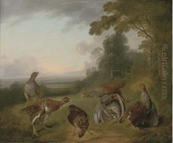 Grey Partridge In A Extensive Landscape, With Hunters Beyond - view 1