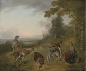 Grey Partridge In A Extensive Landscape, With Hunters Beyond by Stephen Elmer