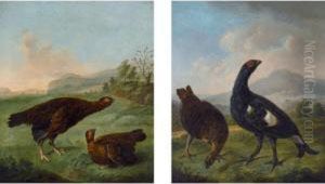 Grouse
