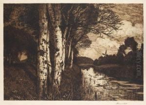 Landschaft Bei Worpswede, Birken Am Kanal by Am Hans Ende