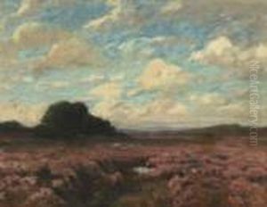 Bluhende Heide by Am Hans Ende