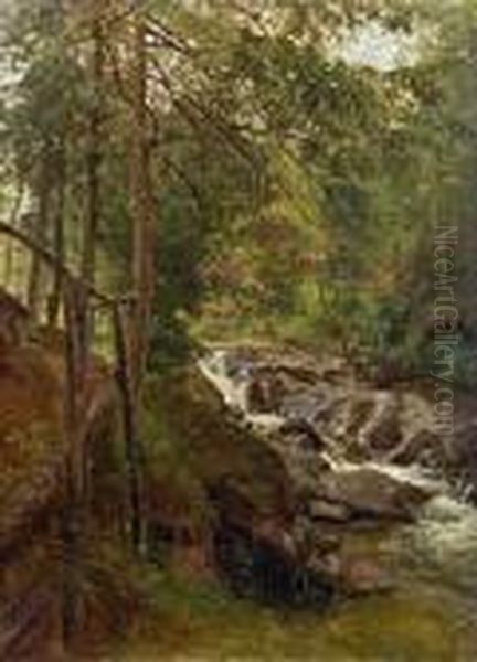 Steiniger Waldbach - view 1