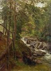 Steiniger Waldbach by Thomas Ender