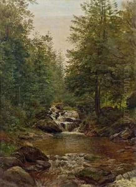 Waldbach - view 1