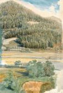 Bewaldeter Berghang by Thomas Ender