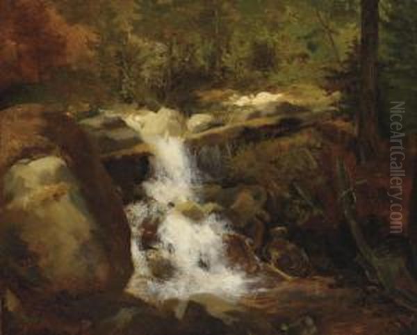 Chute D'eau Dans Une Foret - view 1