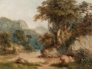 Brazilian Landscape by Thomas Ender