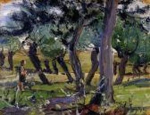 Willows by Bela Endre