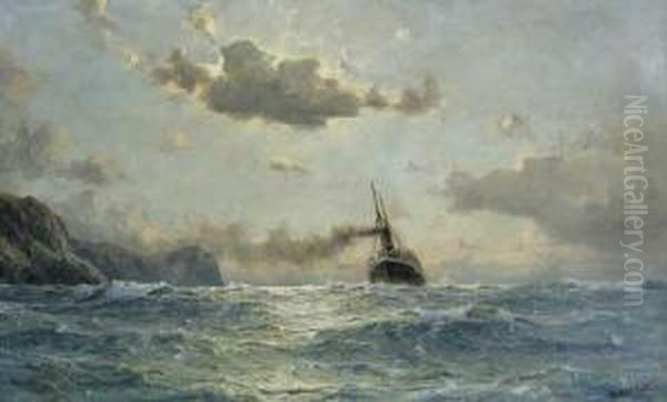 Dampfschiff Vor Felskuste - view 1