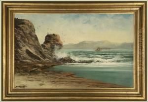 Crashing Waves And Birds Flying In A Coastal Landscape by John Joseph Englehardt