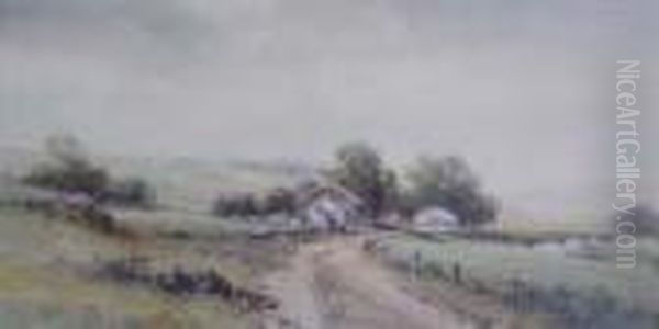Shower Creek - view 1