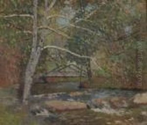 Rocks By The Brook