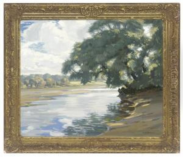 Sunshine And Shade On The River Test - view 1
