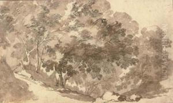 A Wooded Hillside - view 1